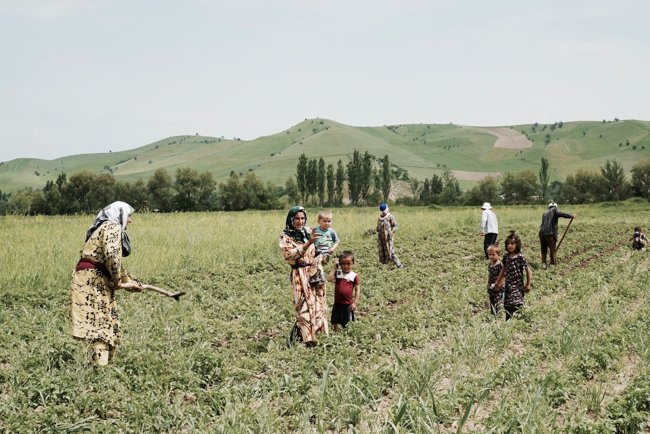 Women and children working a green field in rural Tajikistan