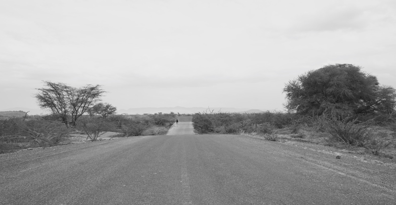 A lone figure on a paved road through dry bush